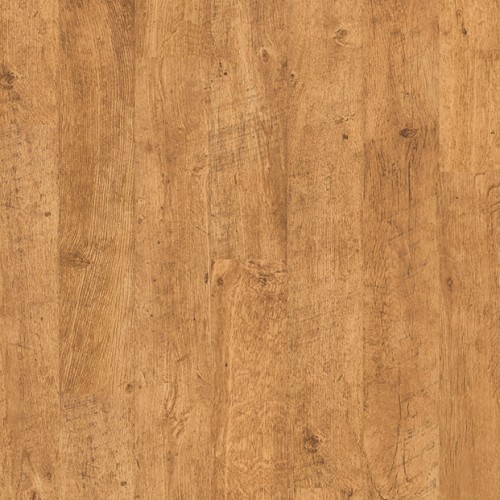 HARVEST OAK